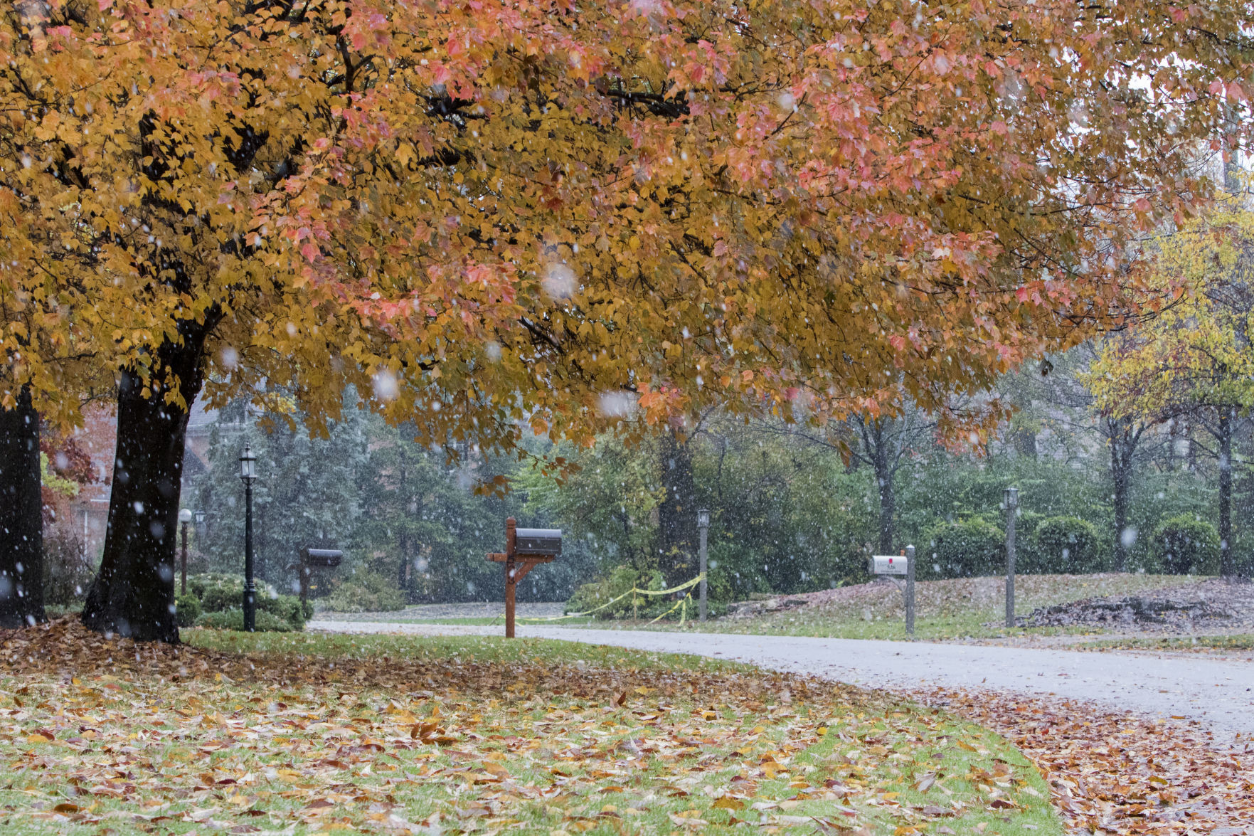 October Snow